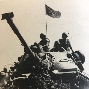 Meet your Posher, Wyatt